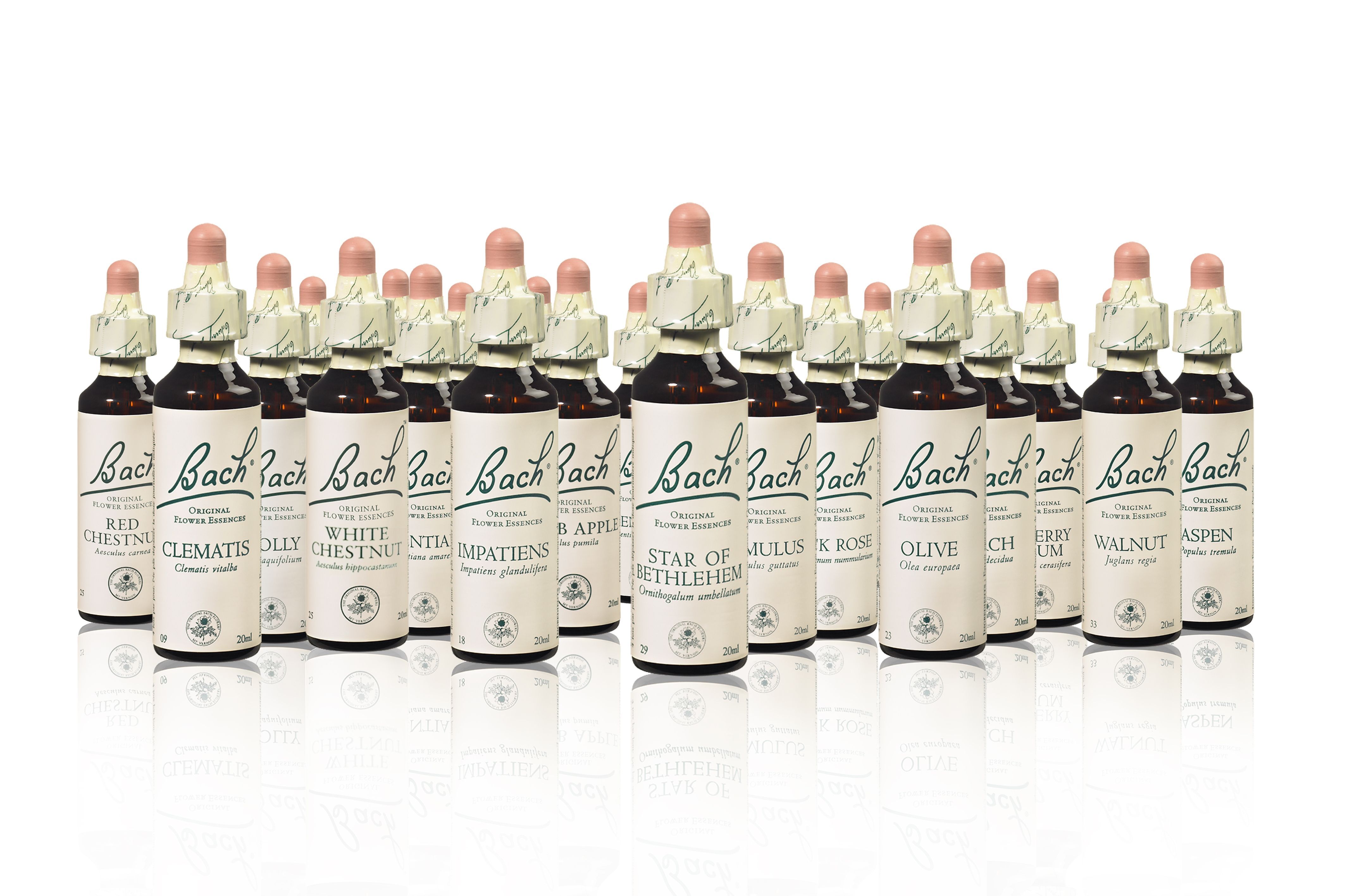 Flacons de produits naturels de la boutique